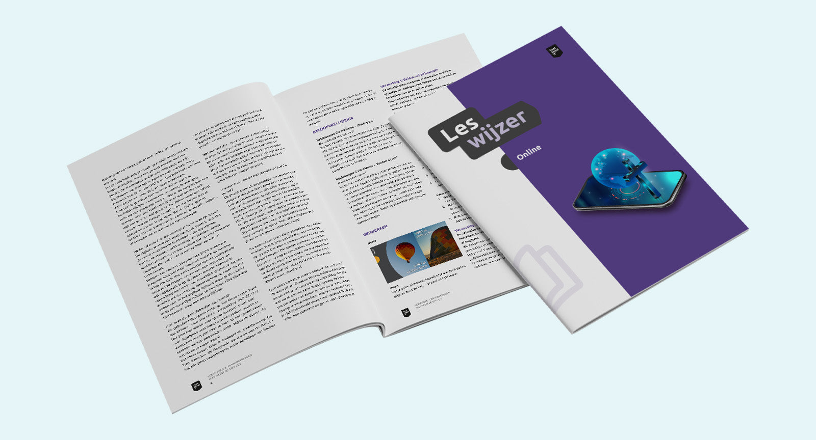 Leerwijzer thema Online