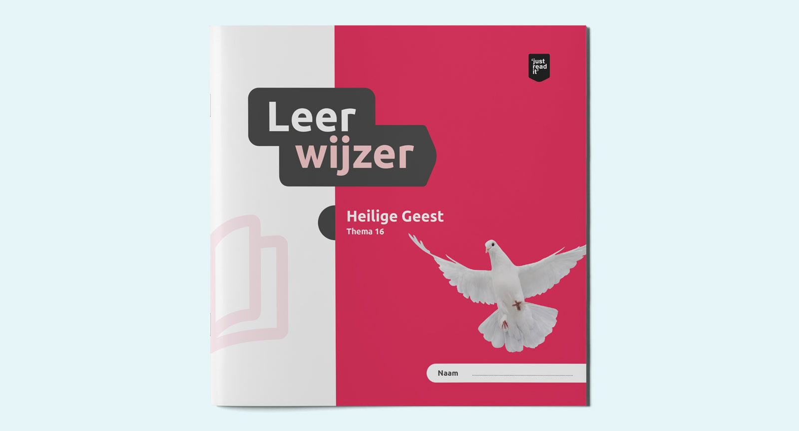 Leerwijzer thema 16 - Heilige Geest