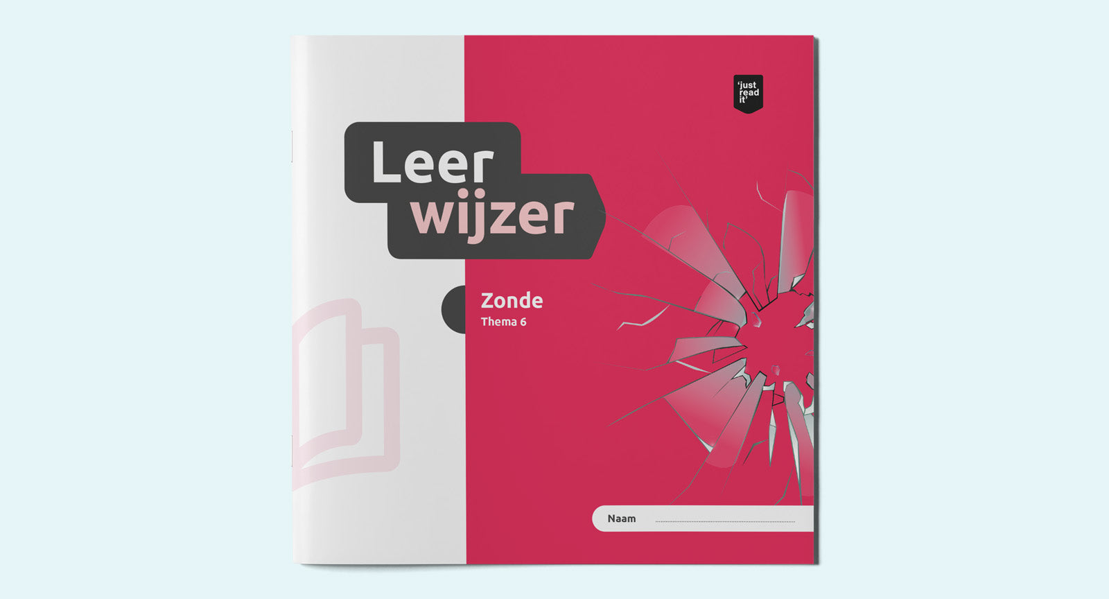 Leerwijzer thema 6 - De zonde